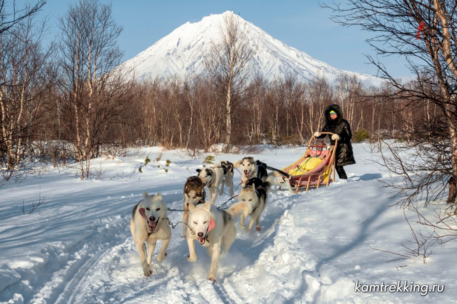 Зимние походы Камчатка